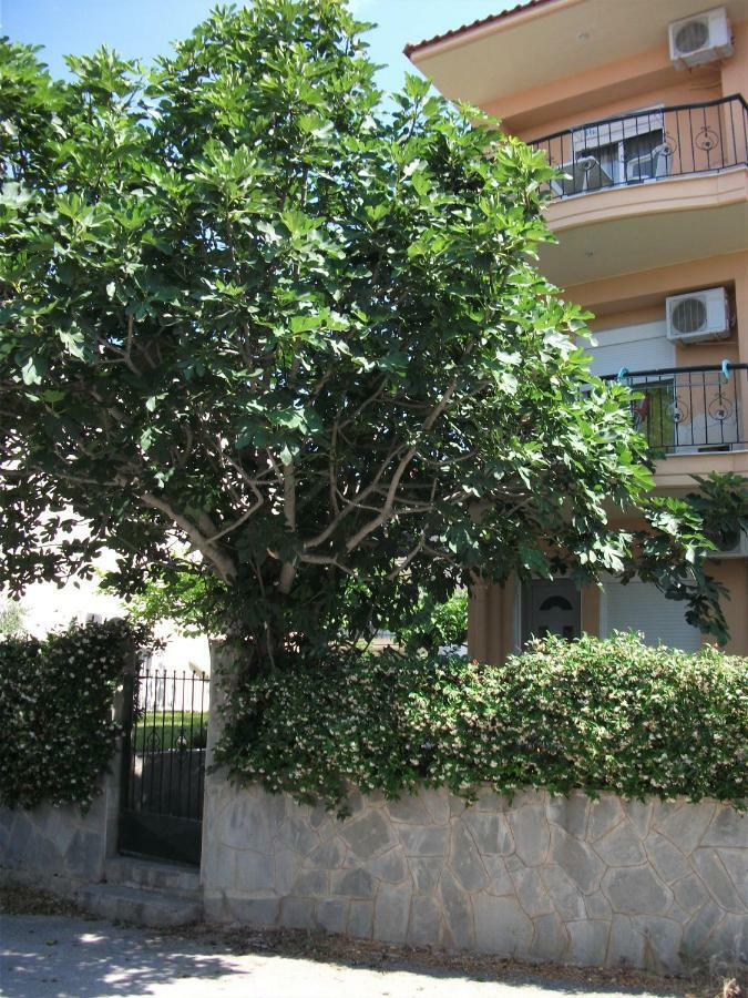 Fani House Apartman Kallithea  Kültér fotó